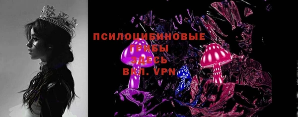 соль ск Костерёво